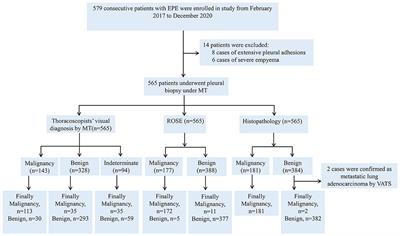 Rapid on-site evaluation of touch imprints of medical thoracoscopy biopsy tissue for the management of pleural disease